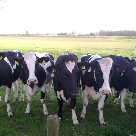 Langeweg B&B Boerderij Wijtvliet المظهر الخارجي الصورة