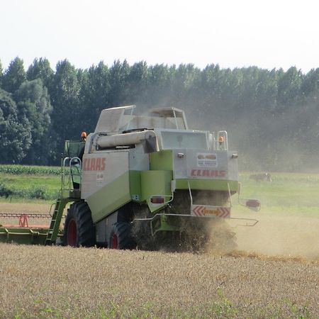 Langeweg B&B Boerderij Wijtvliet المظهر الخارجي الصورة