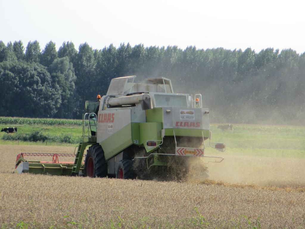 Langeweg B&B Boerderij Wijtvliet المظهر الخارجي الصورة